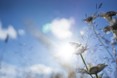 Similar image 21126456