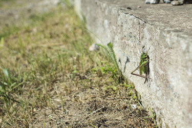 Similar image 21126457