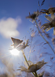 Similar image 21126458