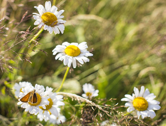 Similar image 21126459