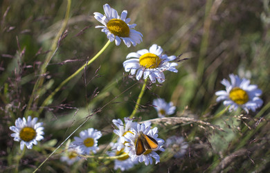 Similar image 21126461