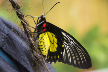 Similar image 21126464