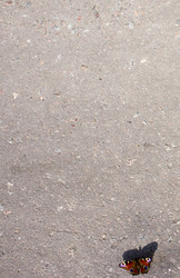 Similar image 21126470