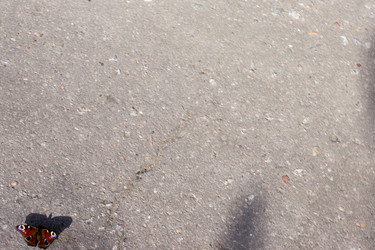 Similar image 21126472