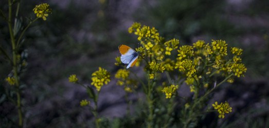 Similar image 21126476