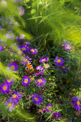 Similar image 21126597