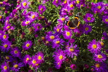 Similar image 21126598