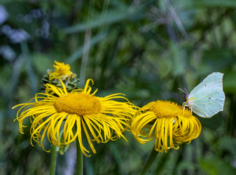 Similar image 21126607