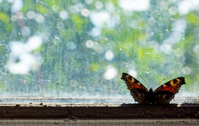 Similar image 21126609