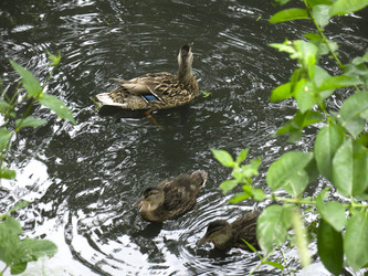 Similar image 21130087