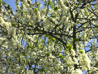 Similar image 21130090