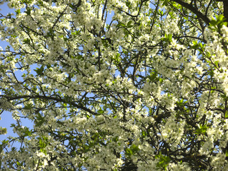 Similar image 21130091