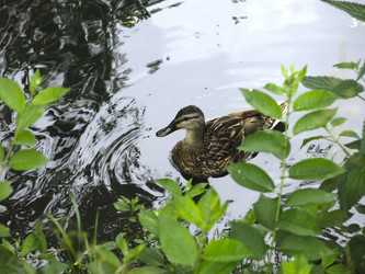 Similar image 21130101