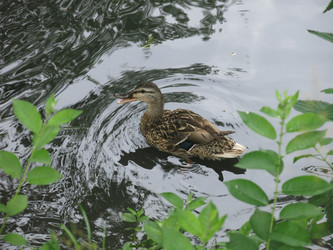 Similar image 21130102