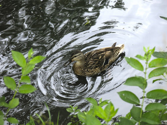 Similar image 21130103