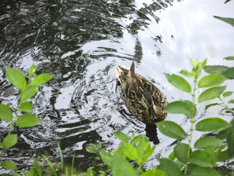 Similar image 21130104