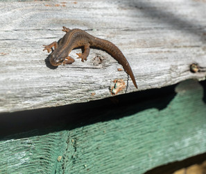 Similar image 21126611