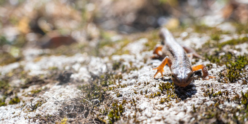 Similar image 21126617