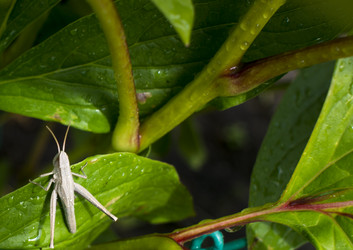 Similar image 21126629