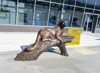 Similar image 21127206