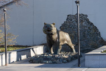 Similar image 21126638