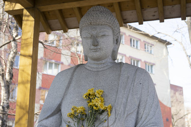 Similar image 21126653