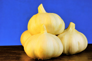 Similar image 21126319