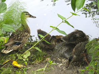 Similar image 21130107