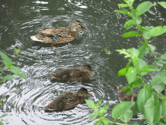 Similar image 21130108