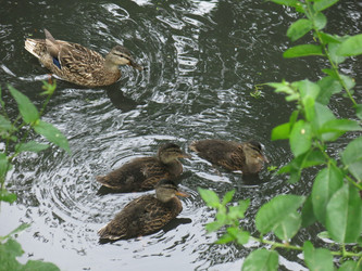 Similar image 21130109