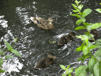 Similar image 21130110