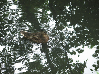 Similar image 21130111