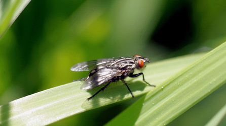 Similar image 21127767