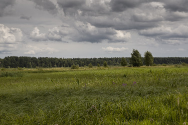 Similar image 21127624