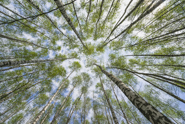 Similar image 21127626