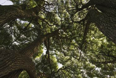 Similar image 21127630