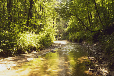 Similar image 21127632