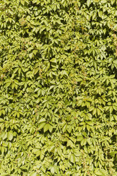 Similar image 21127635