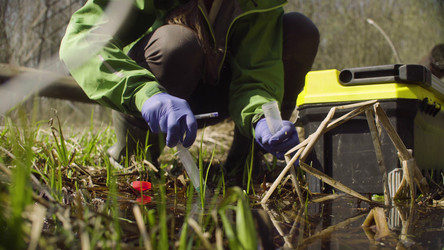 Similar image 21127241