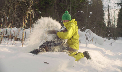 Similar image 21127244