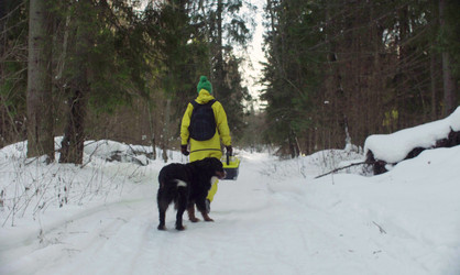 Similar image 21127246