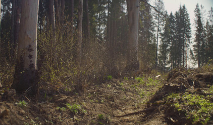 Similar image 21127247