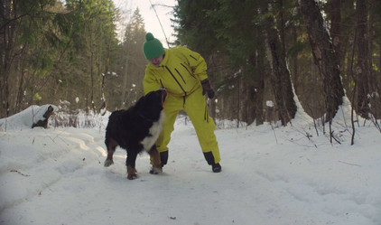 Similar image 21127248