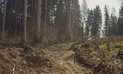 Similar image 21127249