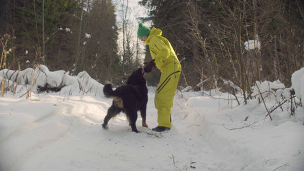 Similar image 21127330