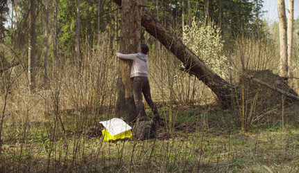 Similar image 21127335