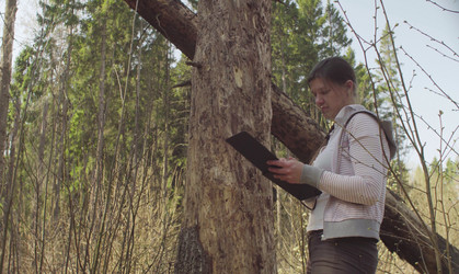 Similar image 21127338