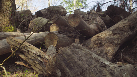 Similar image 21127340