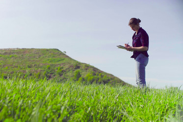 Similar image 21127341