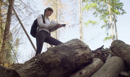 Similar image 21127342